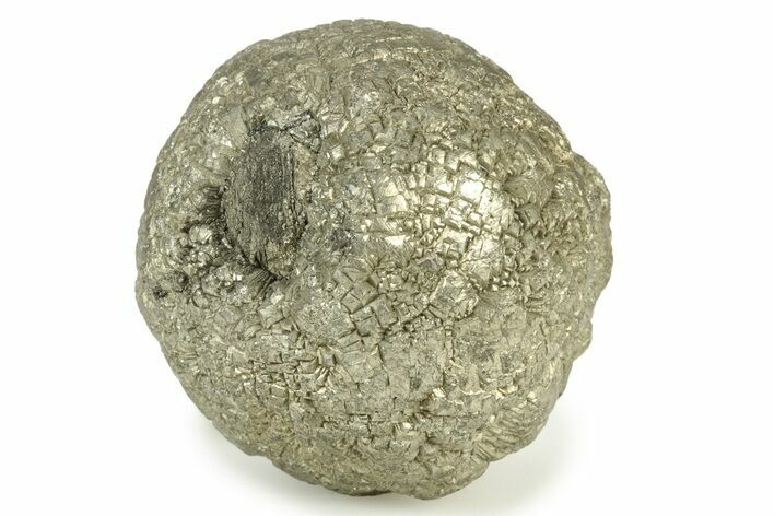 Natural Pyrite Concretion - China #242558